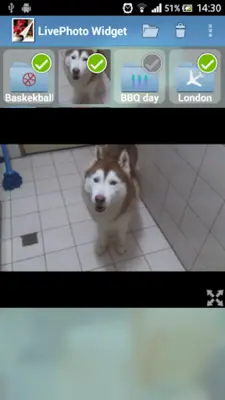 LivePhoto Widget android App screenshot 4